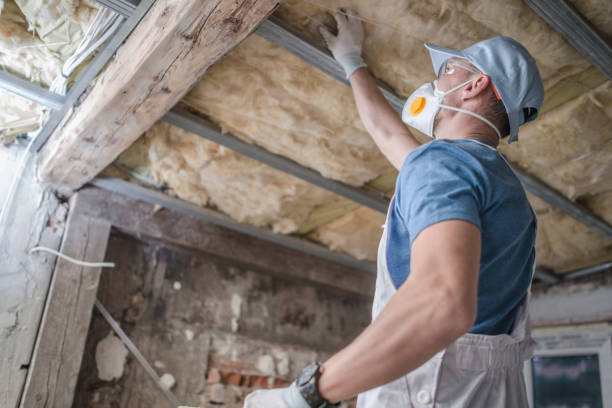 Best Spray Foam Insulation in Lewisville, NC