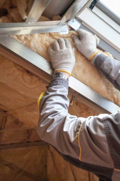 Best Geographic-Specific Insulation Services in Lewisville, NC