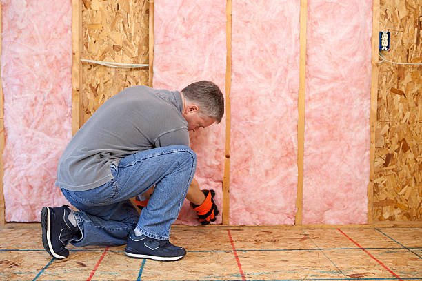Best Blown-in Insulation in Lewisville, NC