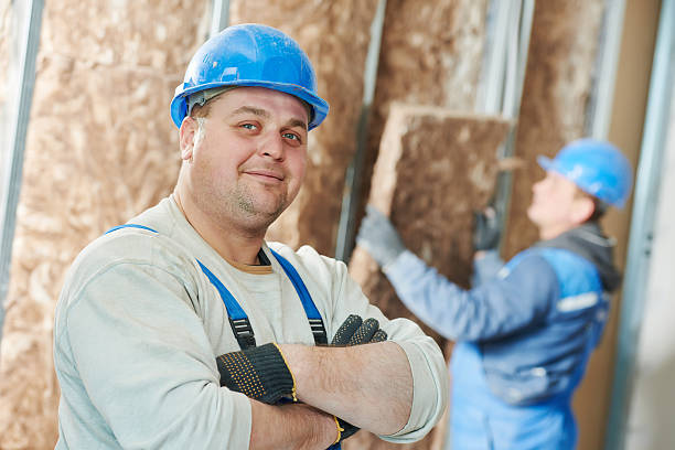 Best Eco-Friendly Insulation in Lewisville, NC