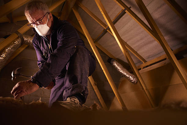 Types of Insulation We Offer in Lewisville, NC